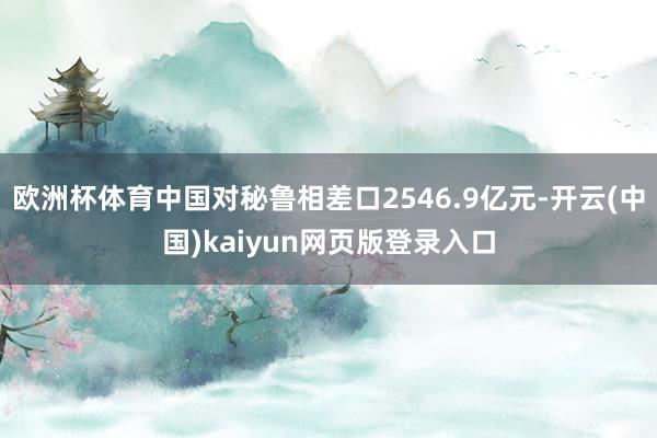 欧洲杯体育中国对秘鲁相差口2546.9亿元-开云(中国)kaiyun网页版登录入口
