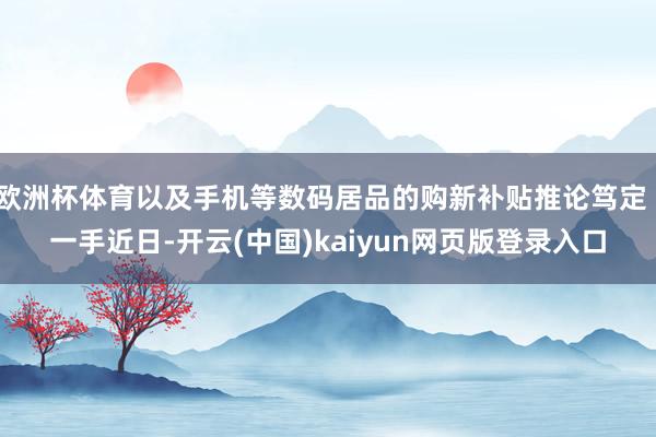 欧洲杯体育以及手机等数码居品的购新补贴推论笃定丨一手近日-开云(中国)kaiyun网页版登录入口