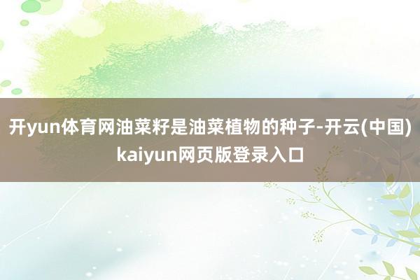 开yun体育网油菜籽是油菜植物的种子-开云(中国)kaiyun网页版登录入口