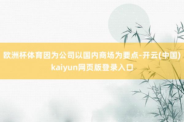 欧洲杯体育因为公司以国内商场为要点-开云(中国)kaiyun网页版登录入口