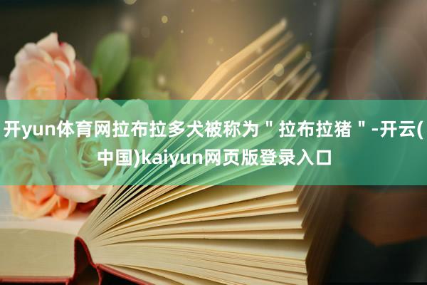 开yun体育网拉布拉多犬被称为＂拉布拉猪＂-开云(中国)kaiyun网页版登录入口